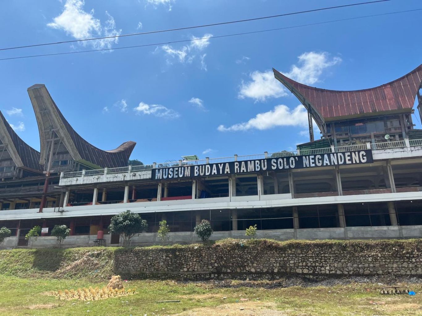 WhatsApp-Image-2025-08-06-at-11.16.21