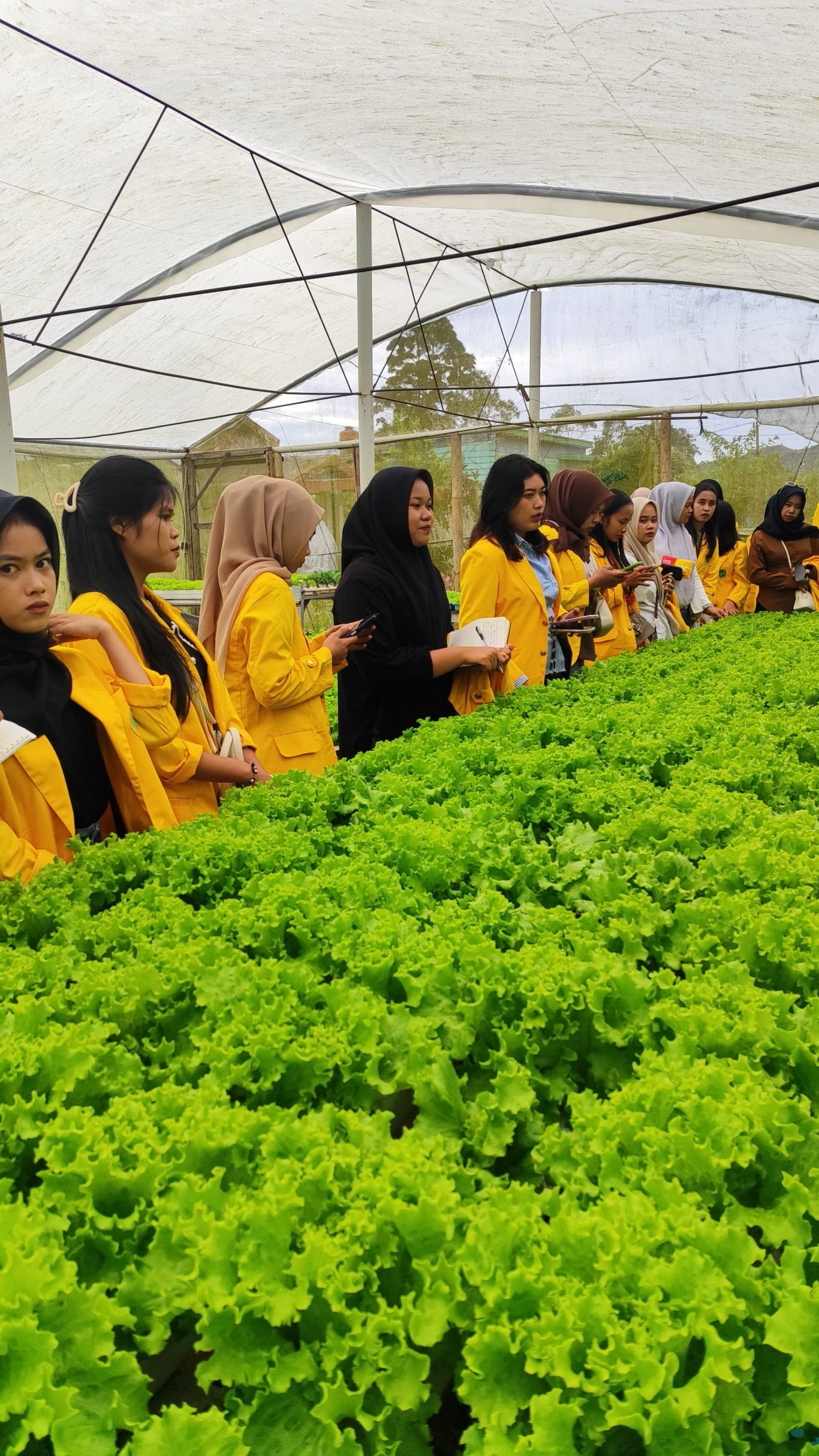 WhatsApp-Image-2025-06-17-at-13.55.46_1